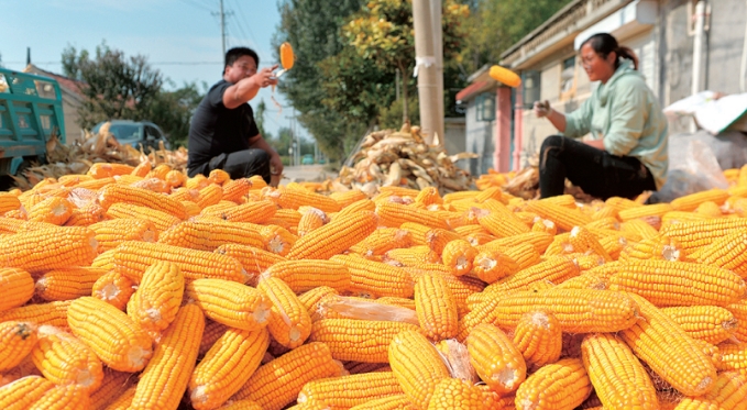 增值税法免税清单出炉：这9类收入不用交增值税，但有3个坑